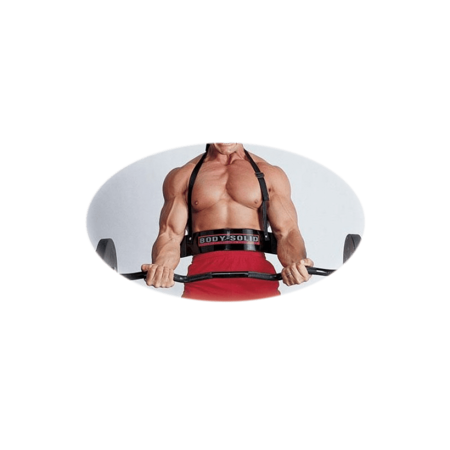 Bild von BB-23 Bizepstrainer/Bizepsbomber